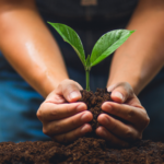 Calendar Event Photos (17)